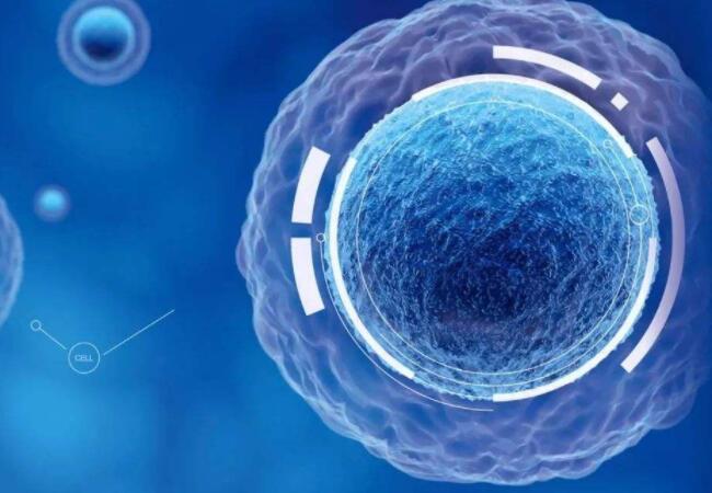 007.jpg