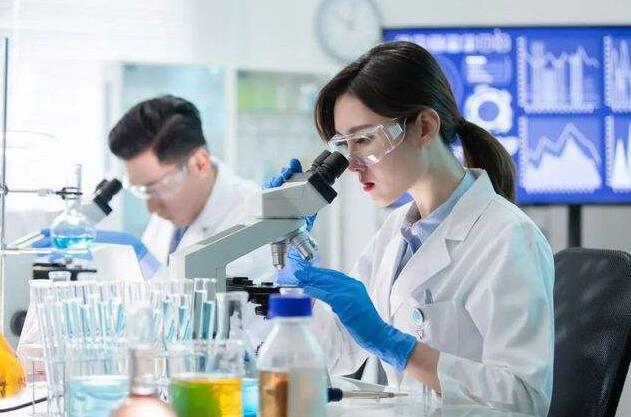 辉瑞、再鼎医药人才招聘要求.jpg