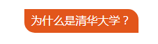 动脉.png