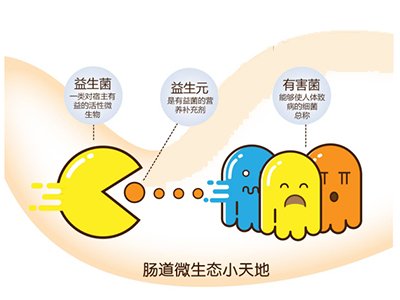 益生菌需要坚持吃多长时间能起到效果