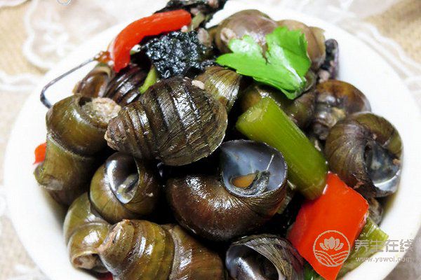 小小一片叶，用处可不小！怎么吃好？送你4个食谱