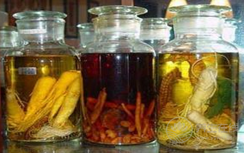 怎么样泡服药酒？ 饮用需避开3大误区