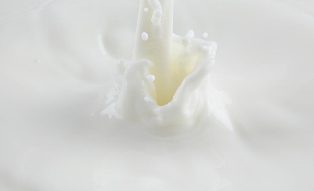 茶和牛奶需要间隔多久长时间之后喝-易网健康<a href=http://www.ewebol.com/jkys/ target=_blank class=infotextkey>养生</a>网 茶和牛奶需要间隔多久长时间之后喝