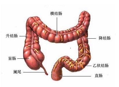 溃疡性结肠炎患者饮食需要注意哪些方面