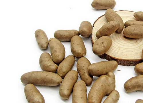 发现山药豆发芽了之后还能不能吃了