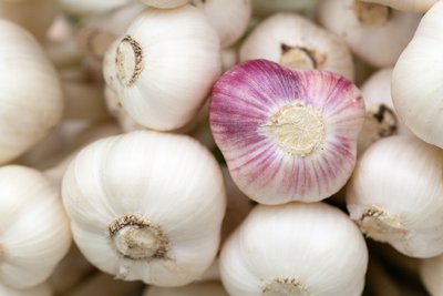 大蒜能够抑制幽门螺杆菌但是两种人不能吃