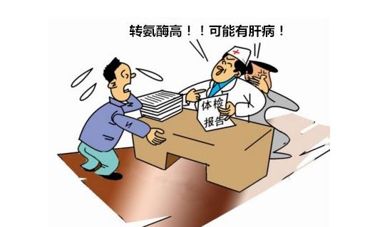 转氨酶升高代表着什么意思要如何解决