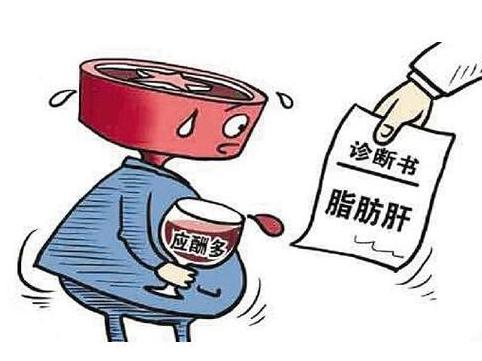 生活中导致脂肪肝高发的五种病因
