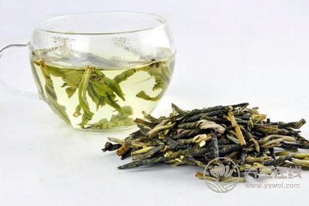 喝苦丁茶有什么好处?苦丁茶功效是什么?