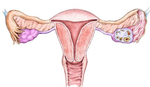 女性有没有生过孩子究竟有什么不一样