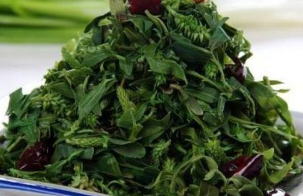 刺儿菜怎么吃 刺儿菜的食用方法全集