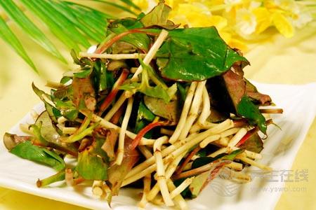 鱼腥草减肥小妙招 鱼腥草泡水可快速减肥