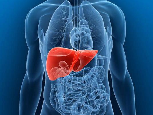 肝脏好的人手上会出现这四个表现