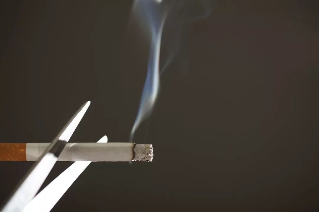 经常抽烟的人肺应该怎么做肺部清理工作
