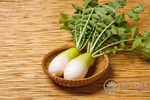 萝卜瘦身餐 让你在美味中享瘦