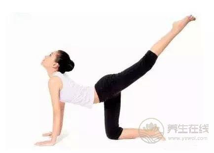 如何减肚子上的赘肉 跪式俯卧撑提臀运动