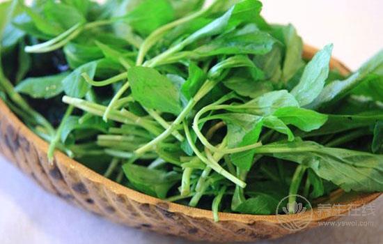 过敏性紫癜如何食补比较好 过敏性紫癜患者饮食推荐