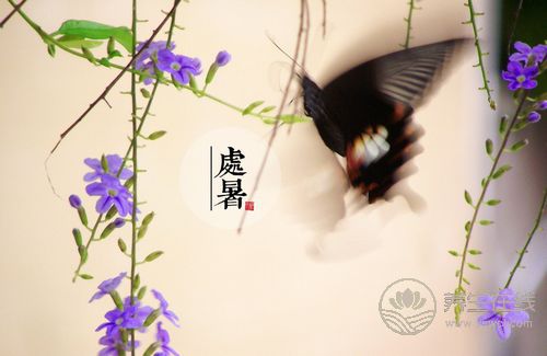 处暑养生要做的9件事 做好不生病